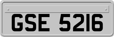 GSE5216