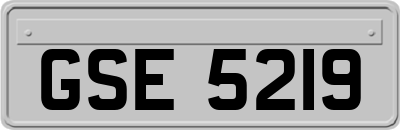 GSE5219