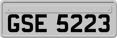 GSE5223