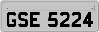 GSE5224