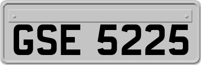 GSE5225