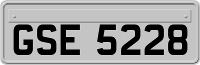 GSE5228
