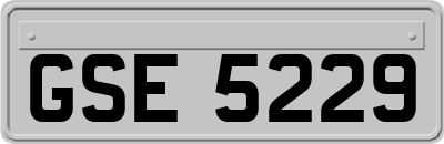 GSE5229