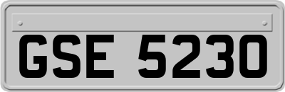 GSE5230