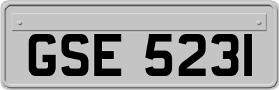 GSE5231