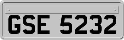 GSE5232