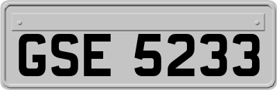GSE5233