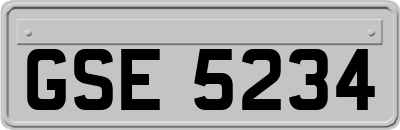 GSE5234
