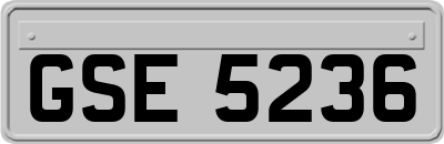GSE5236