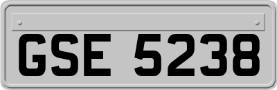 GSE5238