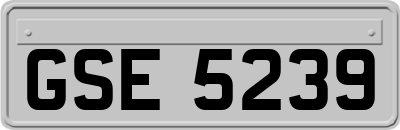 GSE5239