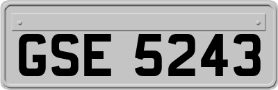 GSE5243