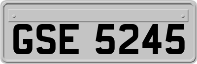 GSE5245