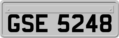 GSE5248