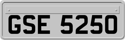GSE5250