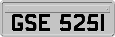 GSE5251