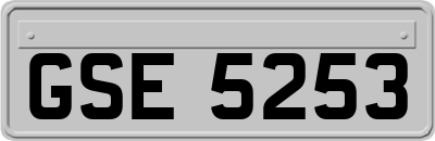 GSE5253