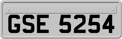 GSE5254