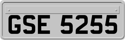 GSE5255