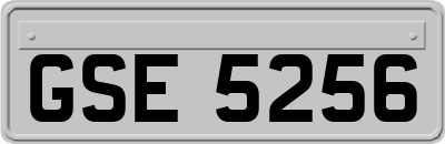 GSE5256