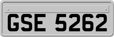 GSE5262