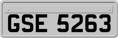 GSE5263