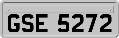 GSE5272