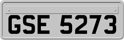 GSE5273