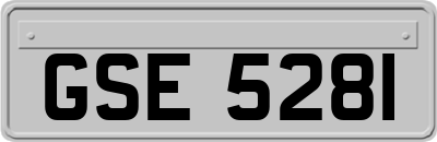 GSE5281
