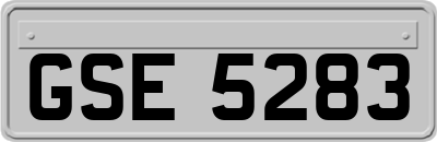 GSE5283