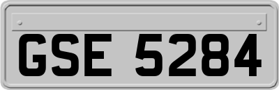 GSE5284