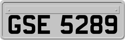 GSE5289