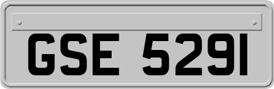 GSE5291
