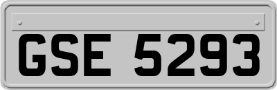 GSE5293