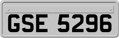 GSE5296