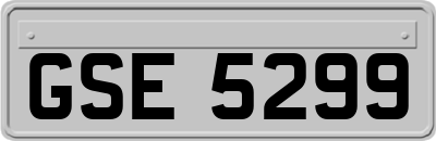 GSE5299