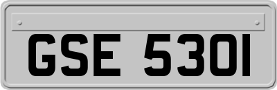GSE5301