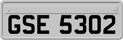 GSE5302