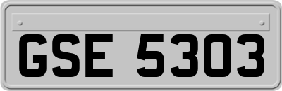 GSE5303