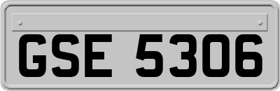 GSE5306