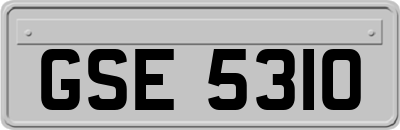 GSE5310