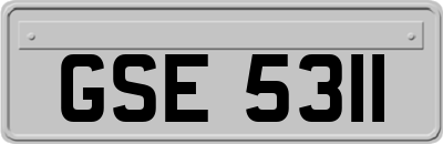 GSE5311