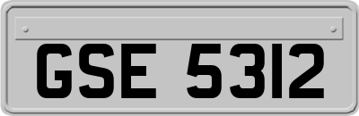 GSE5312