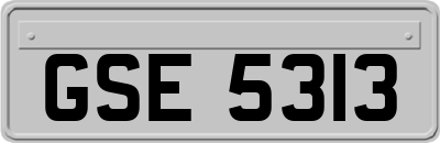 GSE5313