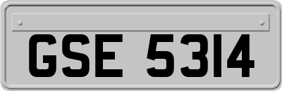GSE5314