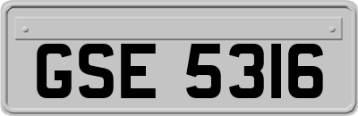 GSE5316