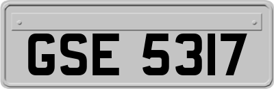 GSE5317