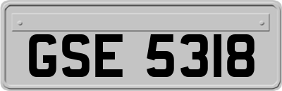 GSE5318