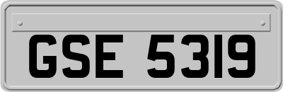 GSE5319