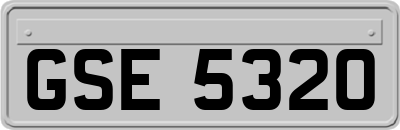 GSE5320